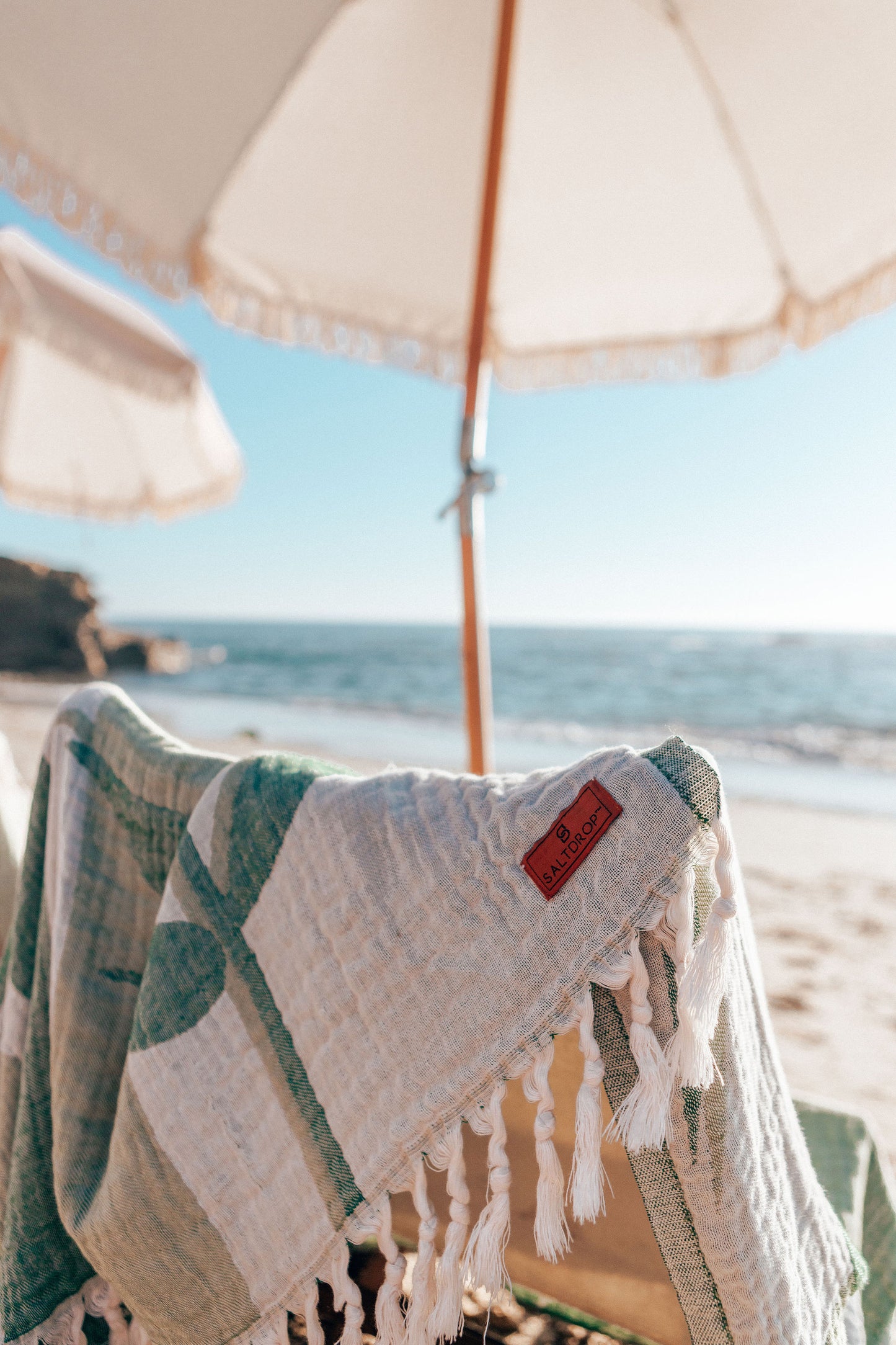 RAINBOW PALM - Cotton Cloud Towel